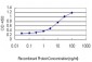 SEC22L1 Antibody (monoclonal) (M01)